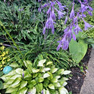 Meet your Posher, Caitlin